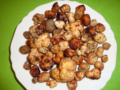 Plate of Truffles