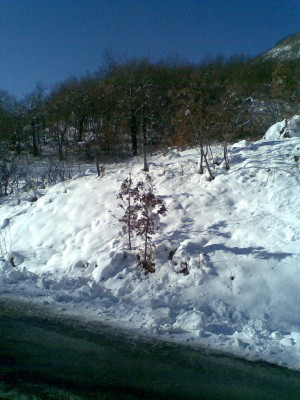 Snow 1