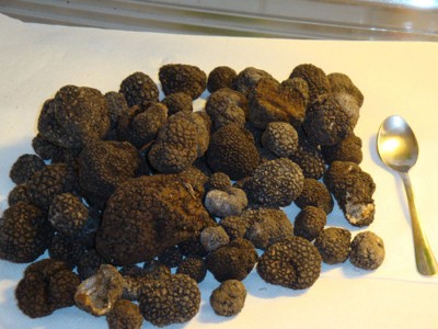 Truffle